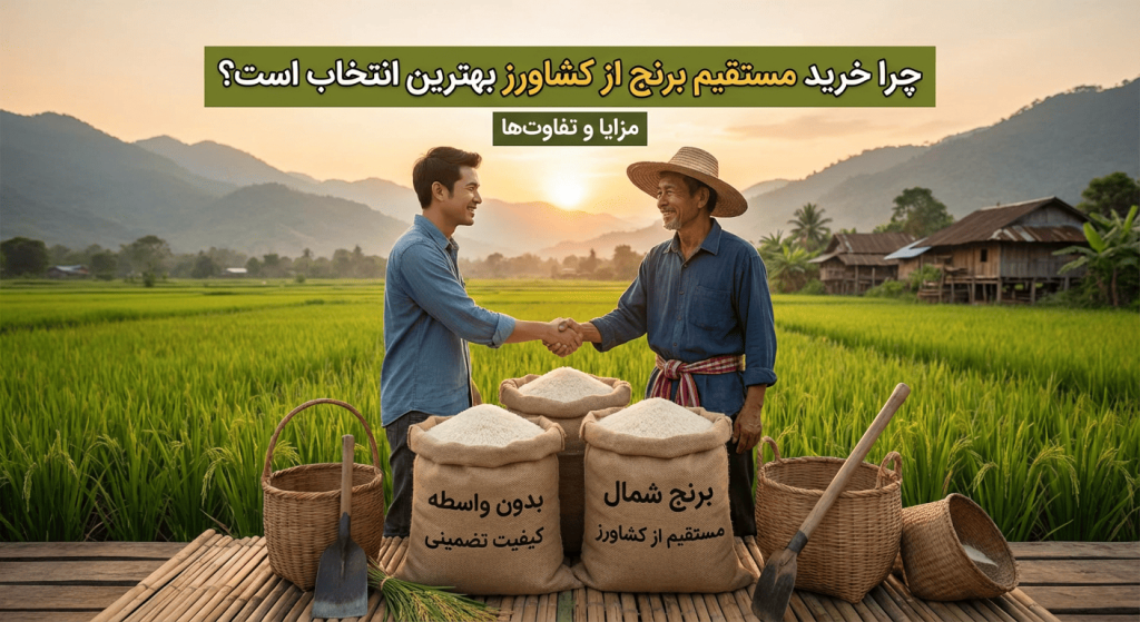 خرید مستقیم برنج از کشاورز