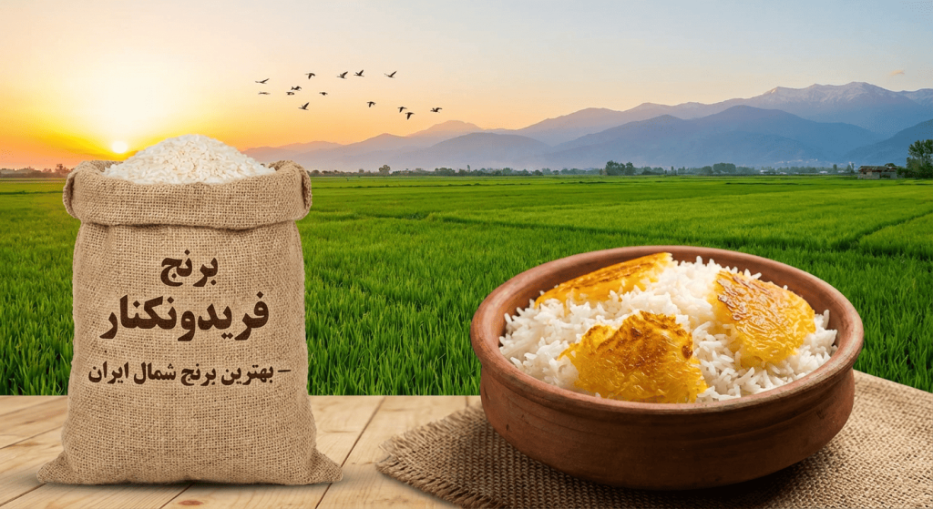 برنج فریدونکنار