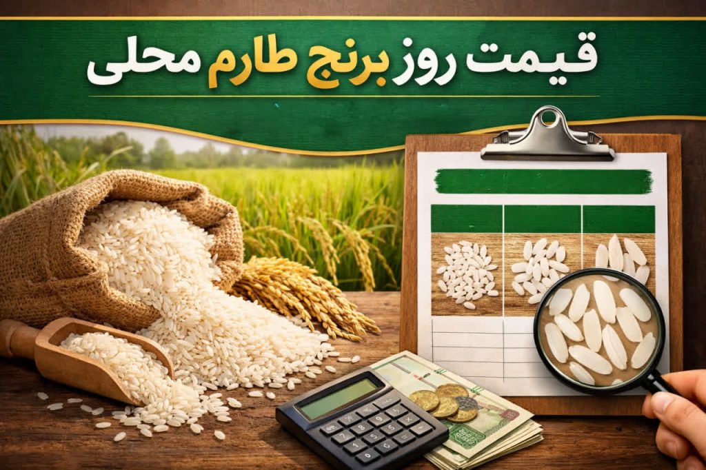 قیمت روز برنج طارم محلی + راهنمای خرید مطمئن و جدول مقایسه