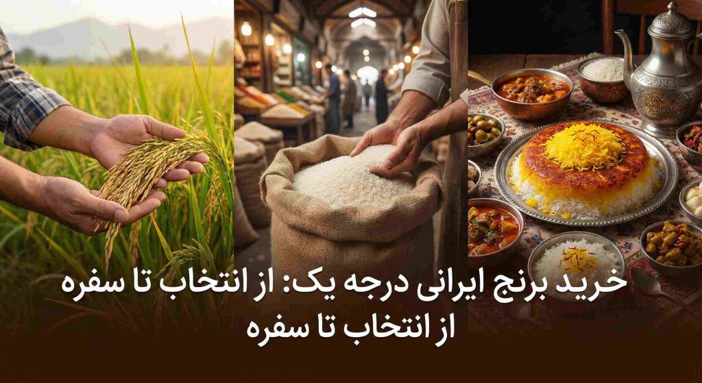 خرید برنج ایرانی درجه یک: از انتخاب تا سفره